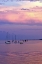 Picture of ST. AUGUSTINE HARBOR SUNSET IV