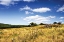 Picture of BIG MEADOW II