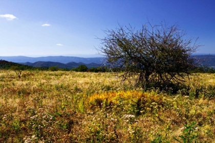 Picture of DISTANT MOUNTAINS III