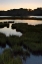 Picture of CAPTAINS COVE II