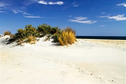 Picture of ASSATEAGUE BEACH III