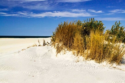 Picture of ASSATEAGUE BEACH IV