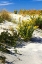 Picture of ASSATEAGUE BEACH VI