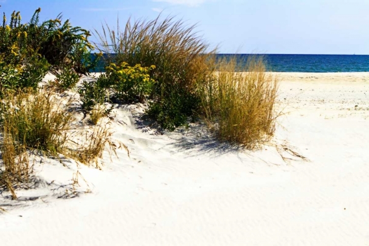 Picture of ASSATEAGUE BEACH VII