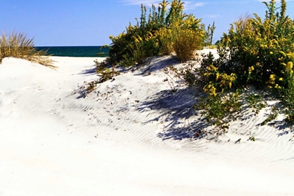 Picture of ASSATEAGUE BEACH VIII