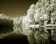Picture of AYERS LAKE I