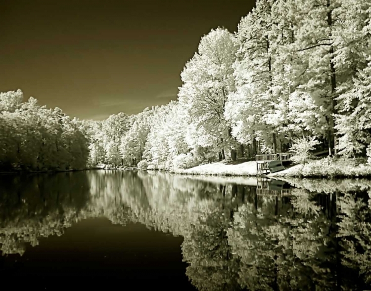 Picture of AYERS LAKE I