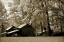 Picture of TOBACCO ROAD