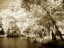 Picture of MATTAPONI III