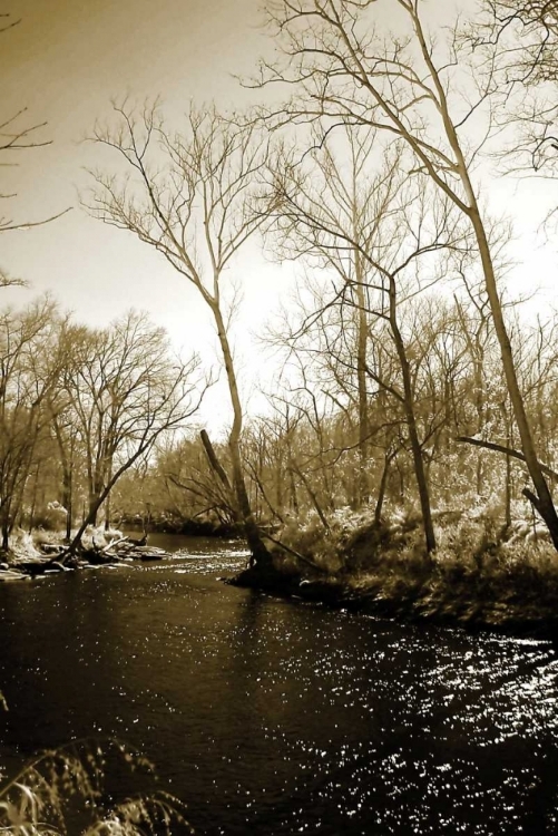 Picture of WINTER ON THE NEUSE RIVER