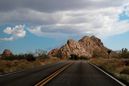 Picture of JOSHUA TREE NATIONAL PARK I