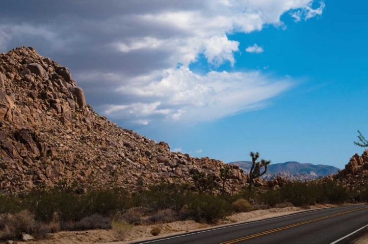 Picture of JOSHUA TREE NATIONAL PARK II