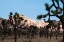 Picture of HIDDEN VALLEY II