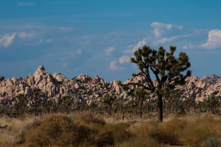 Picture of ROCK FORMATIONS I