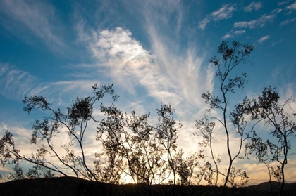 Picture of SUNSET SILHOUETTE I