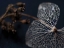 Picture of HYDRANGEA SKELETON II