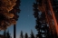 Picture of STARRY NIGHT I