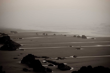 Picture of BEACH AT SEAL ROCK I