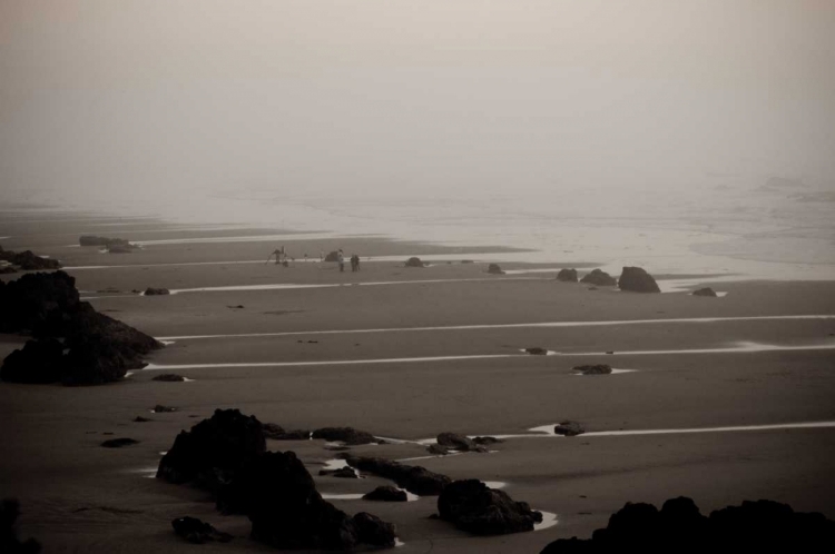 Picture of BEACH AT SEAL ROCK I