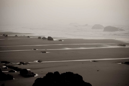Picture of BEACH AT SEAL ROCK II
