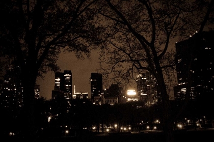 Picture of CENTRAL PARK AT NIGHT I