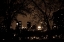 Picture of CENTRAL PARK AT NIGHT I