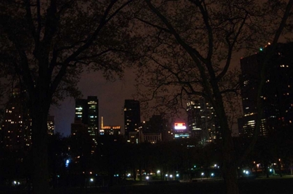 Picture of CENTRAL PARK AT NIGHT II