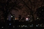 Picture of CENTRAL PARK AT NIGHT II