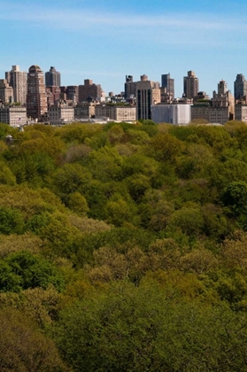 Picture of CENTRAL PARK I