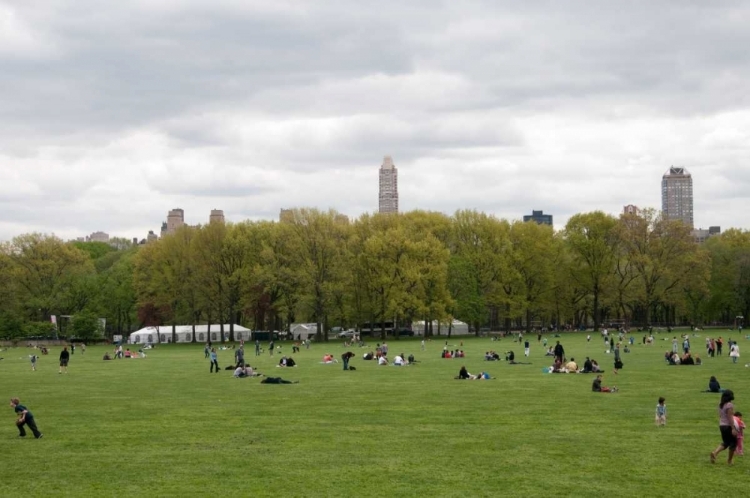 Picture of SPRING IN CENTRAL PARK