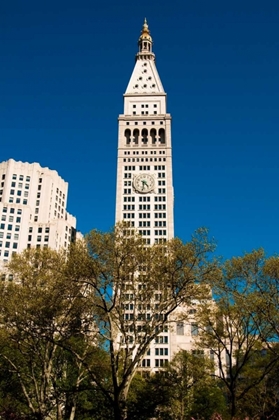 Picture of MADISON SQUARE PARK