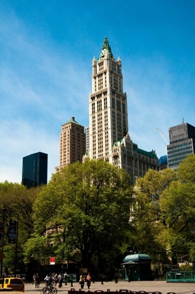 Picture of THE WOOLWORTH BUILDING