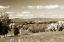 Picture of AUTUMN FOOTHILLS V