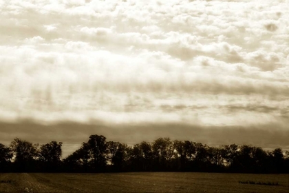 Picture of CLOUDS AND FIELDS I