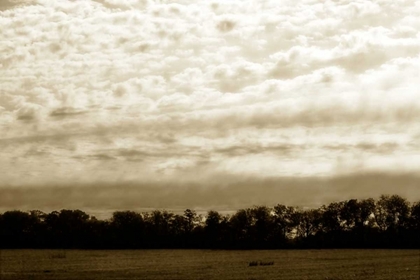 Picture of CLOUDS AND FIELDS II
