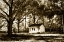 Picture of JOES PLACE II