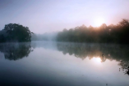 Picture of FOG ON THE MATTAPONI VIII