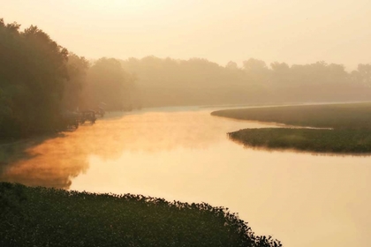 Picture of FOG ON THE MATTAPONI II