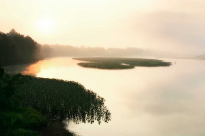 Picture of FOG ON THE MATTAPONI VII