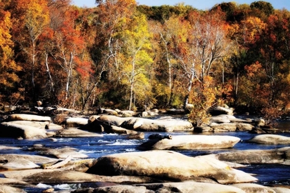 Picture of AUTUMN ON THE RIVER I