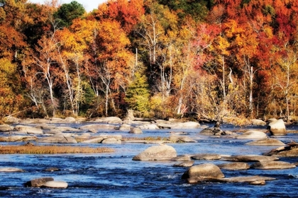 Picture of AUTUMN ON THE RIVER II