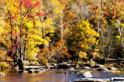 Picture of AUTUMN ON THE RIVER VII