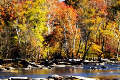 Picture of AUTUMN ON THE RIVER VIII