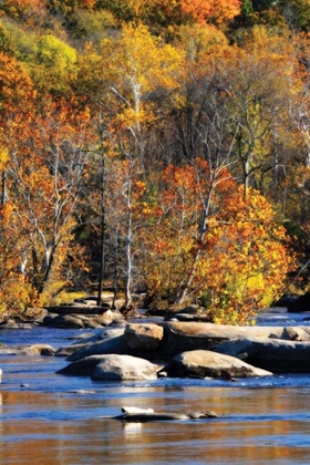 Picture of AUTUMN ON THE RIVER I0