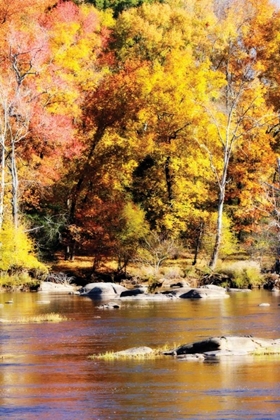 Picture of AUTUMN ON THE RIVER II