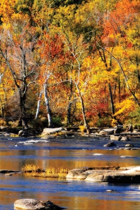 Picture of AUTUMN ON THE RIVER I2