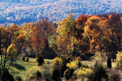 Picture of AUTUMN FOOTHILLS I