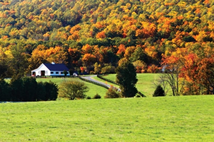 Picture of MOUNTAIN FARM I