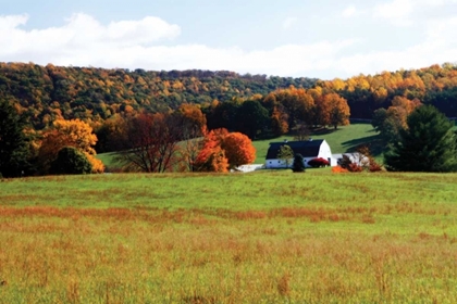 Picture of MOUNTAIN FARM II