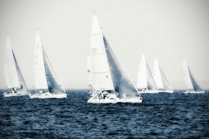 Picture of SUMMERTIME RACE IV